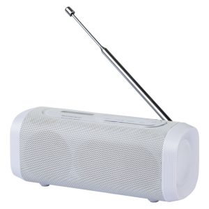 Bluetooth speaker met DAB+ radio (Wit)