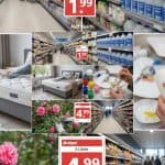 Praktische gids voor winkels, huishouden, wonen en tuinieren