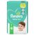 Pampers Baby dry maat 7