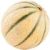 Cantaloupe meloen